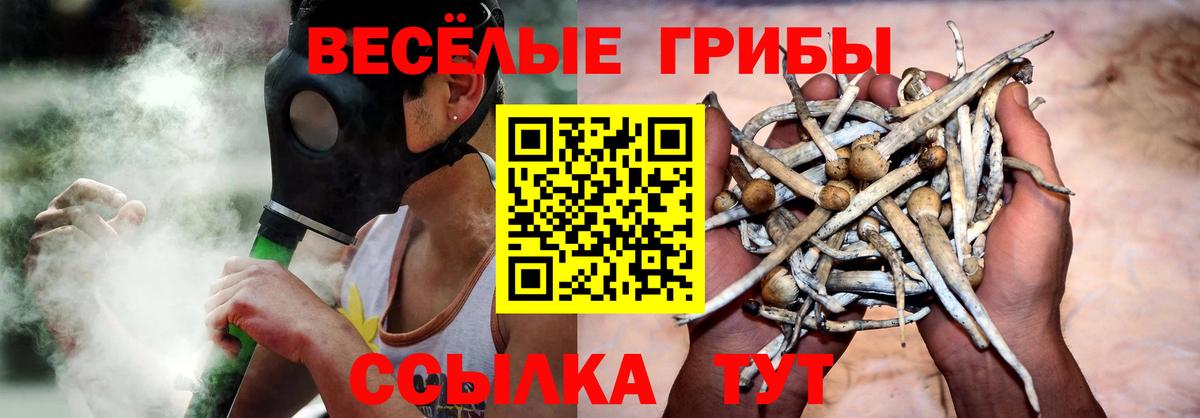 Псилоцибиновые грибы Magic Shrooms Крымск