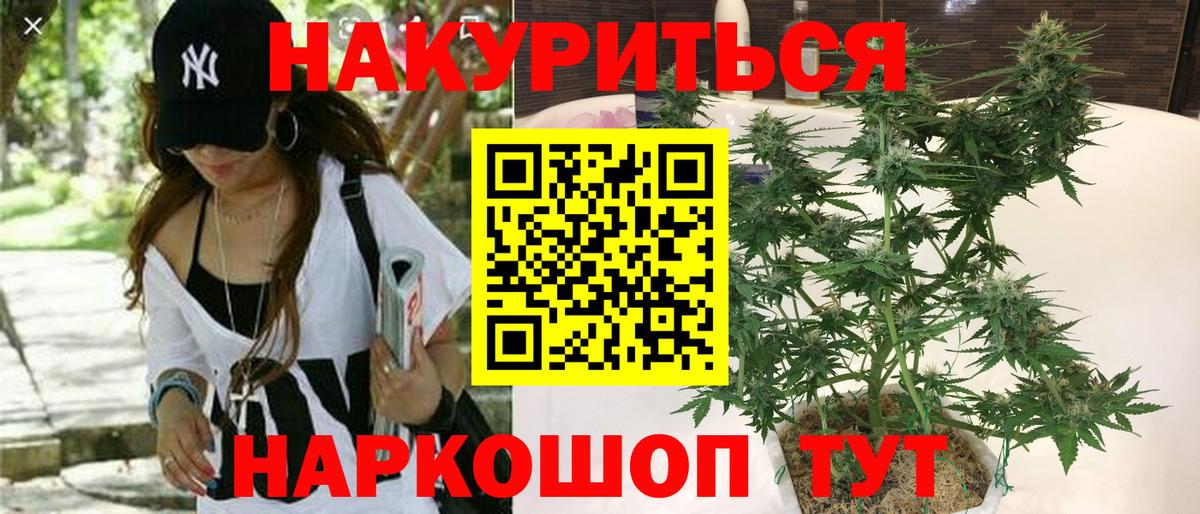 Канабис план Крымск